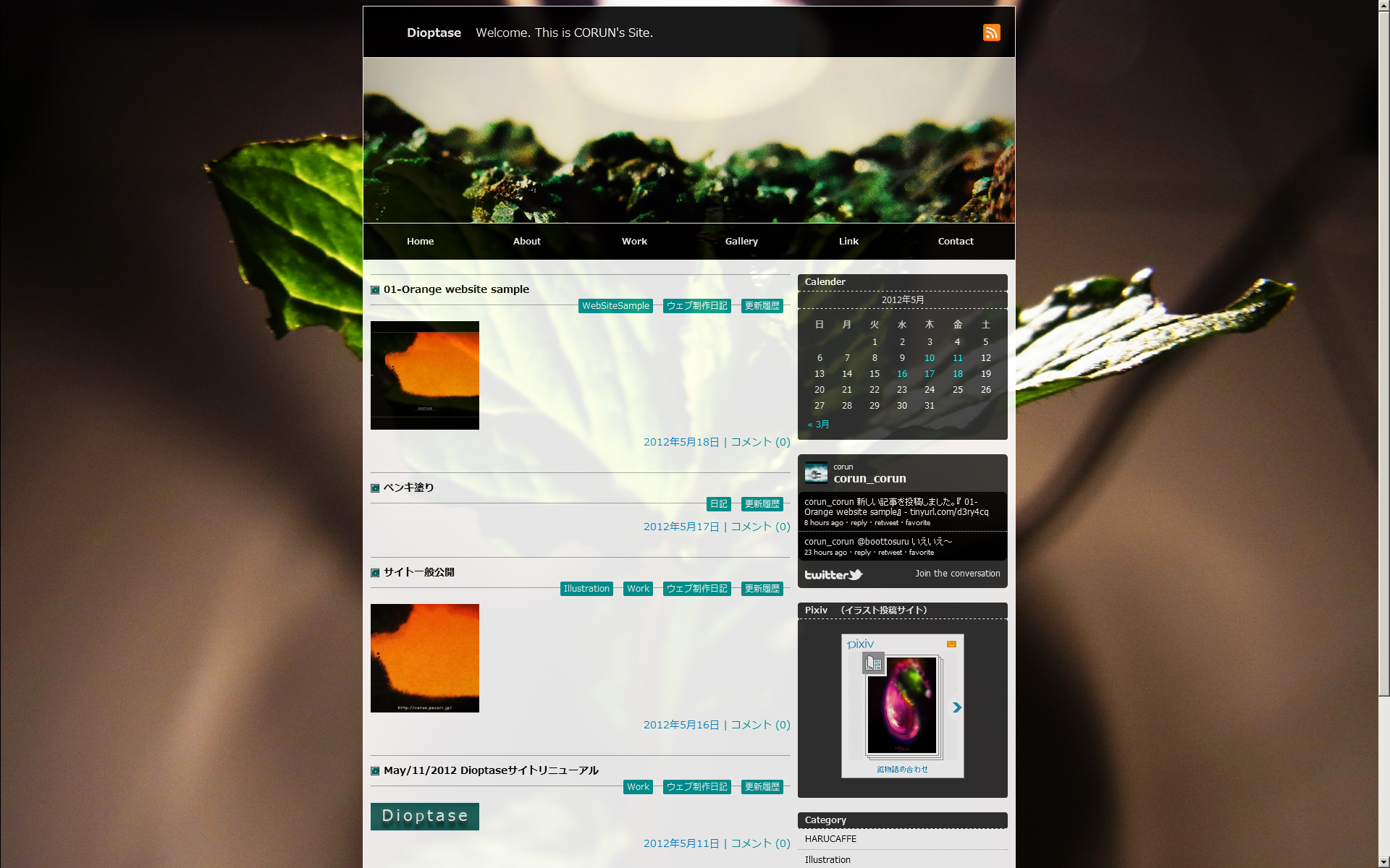 site_outline 20120518